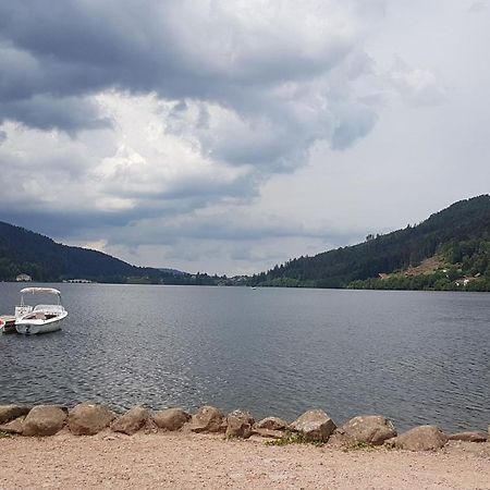 Gerardmer La Villa De Corcieux ภายนอก รูปภาพ
