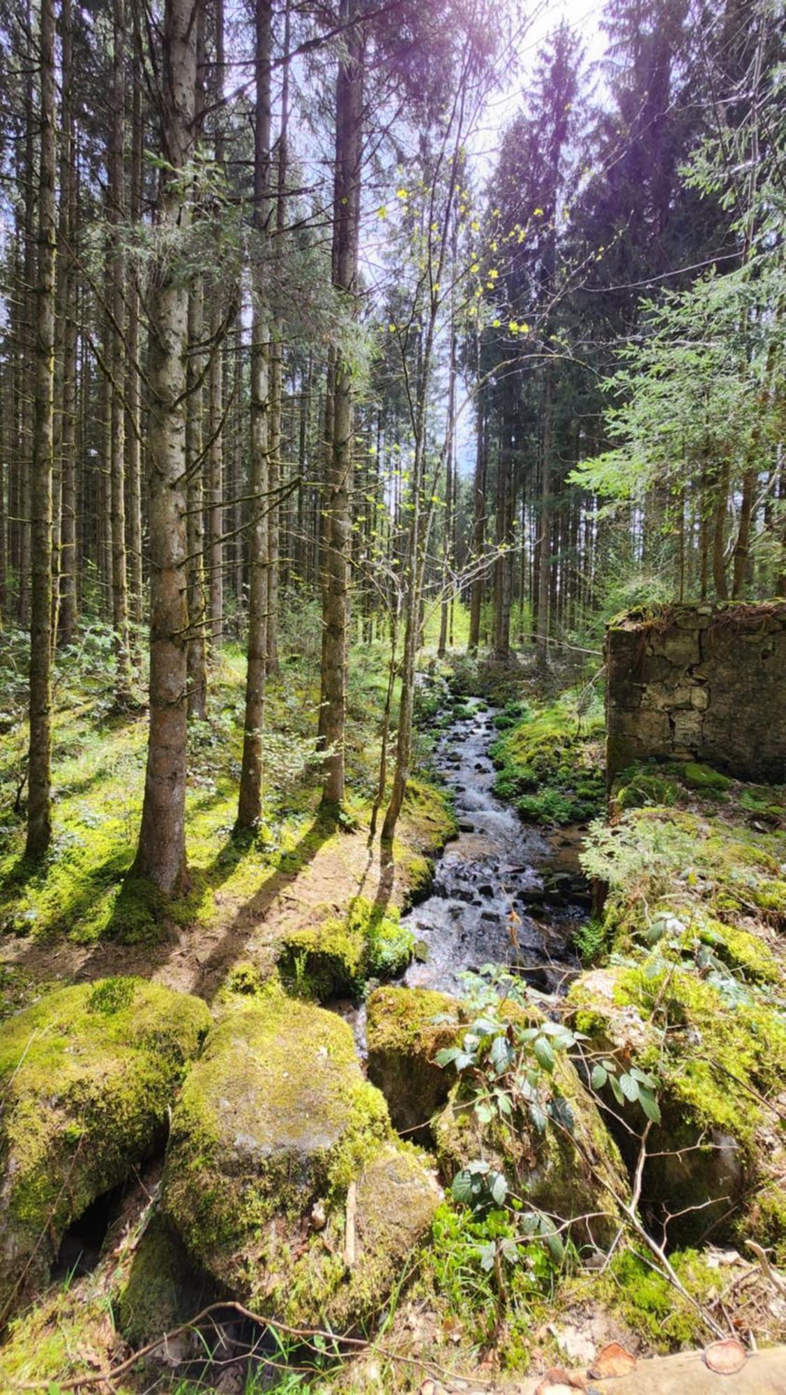 Gerardmer La Villa De Corcieux ภายนอก รูปภาพ