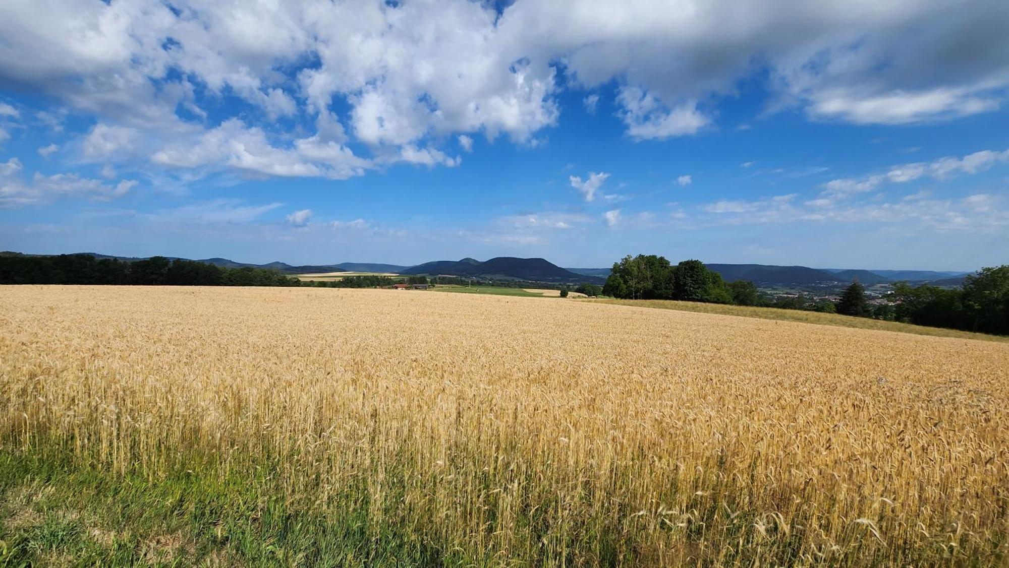 Gerardmer La Villa De Corcieux ภายนอก รูปภาพ